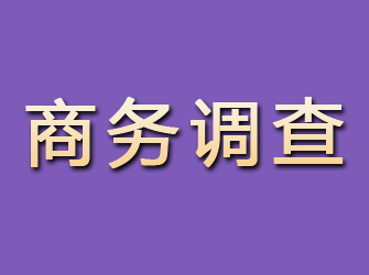 河西商务调查